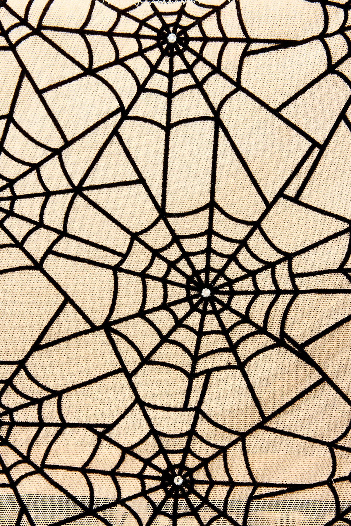 Spider Mesh Mini